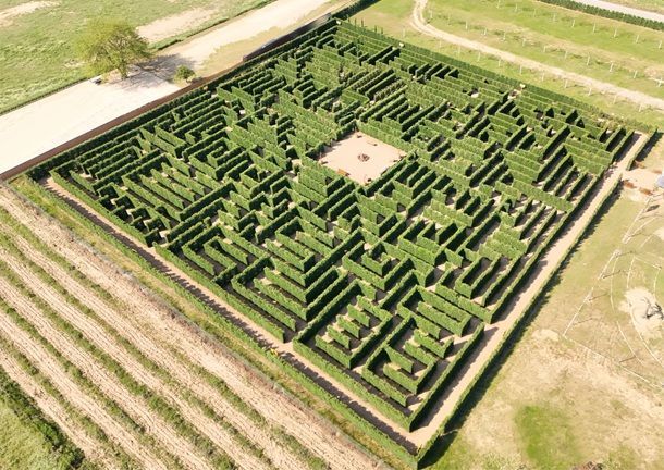 huertaornamentalromana laberinto 2